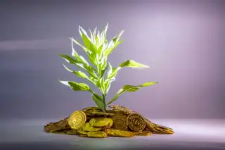 how to grow your money