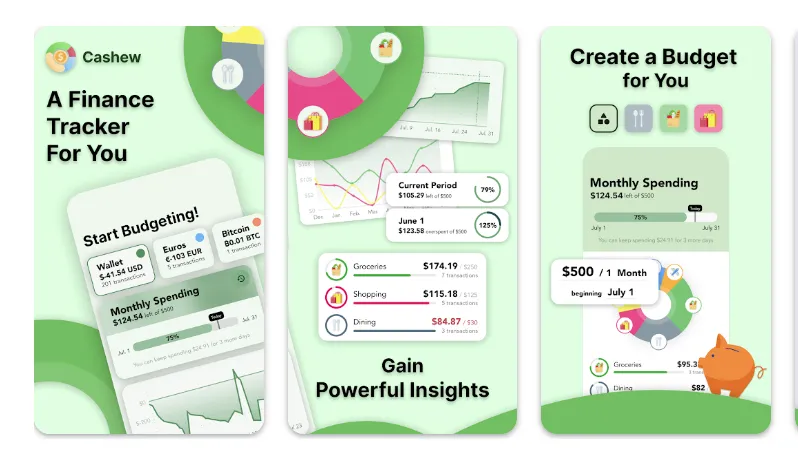cashew—expense budget tracker app interface