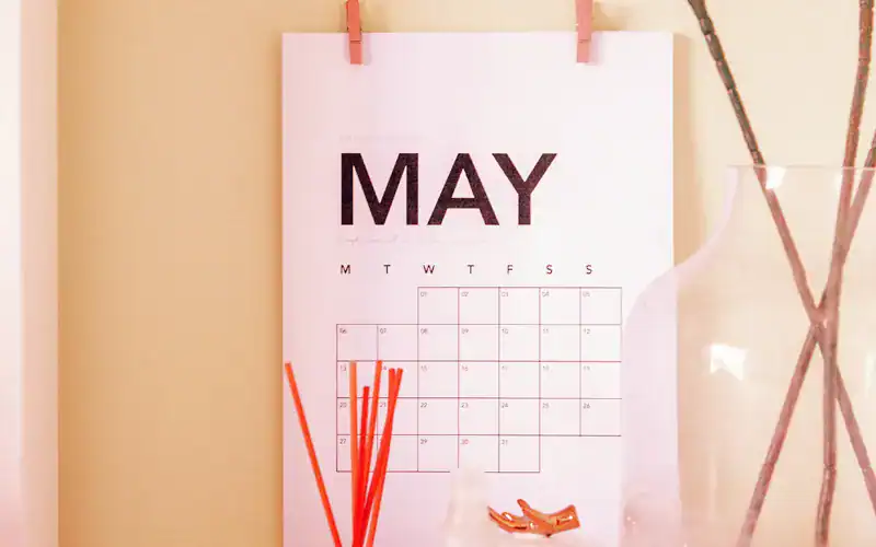 may 2025 tfmmt newsletter