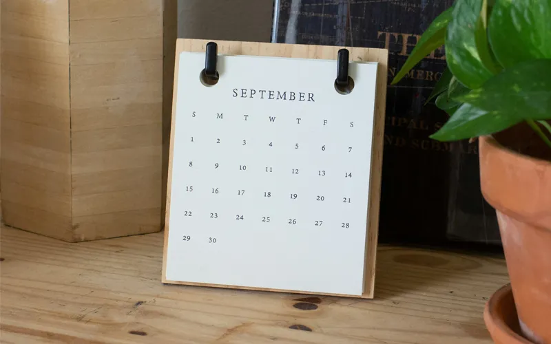 September 2025 TFMMT Newsletter