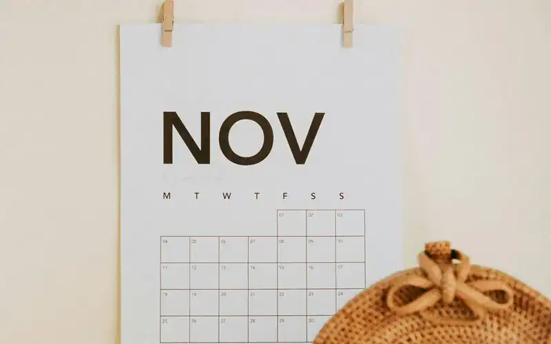 November 2025 TFMMT Newsletter